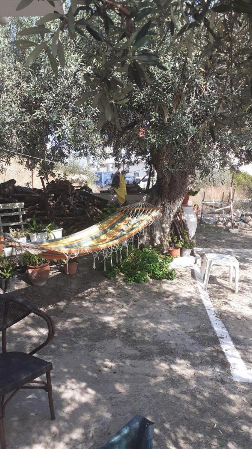 Olive Trees Villa Poros Town Екстериор снимка